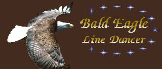 .bald-eagle