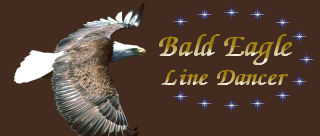 .bald-eagle