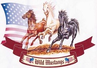 Wild Mustangs